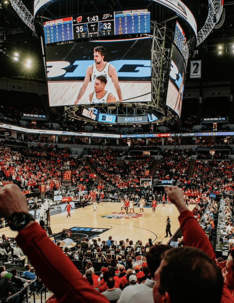 fans at target center